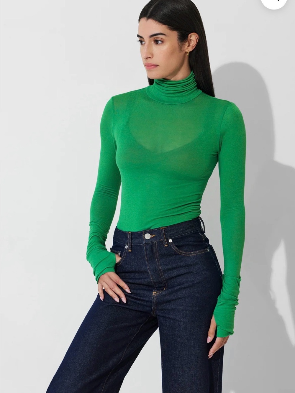 MARCELLA NYC Eloise Sheer European Jersey Turtleneck Top in SPRING GREEN